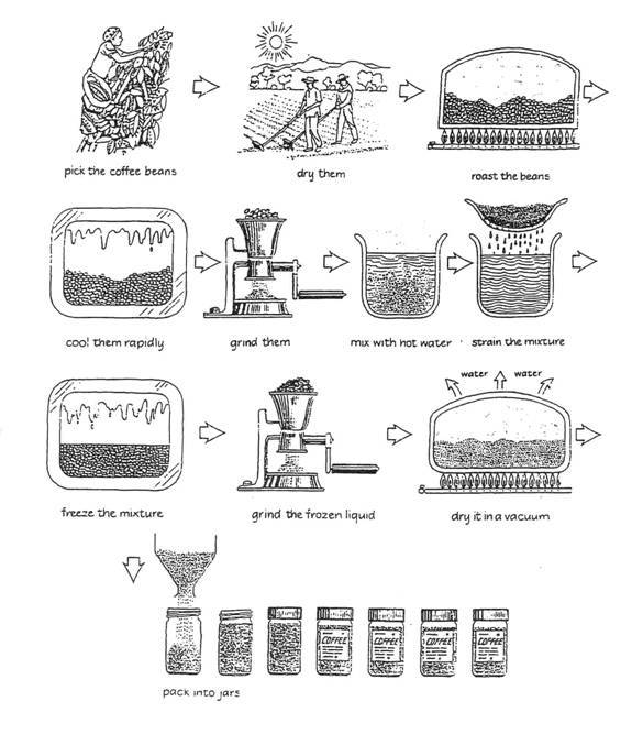 coffee process IELTS